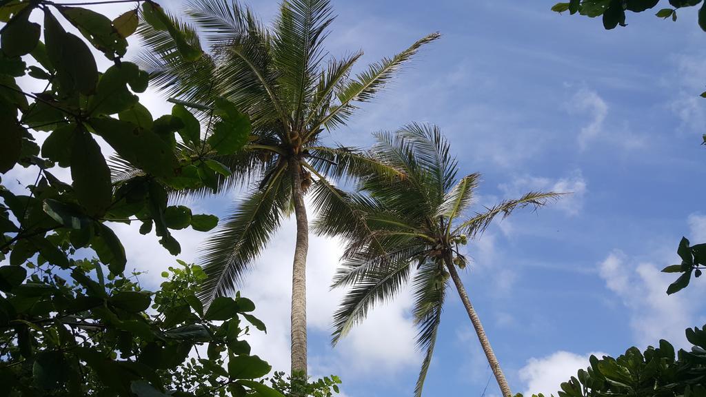 Rumassala Villas Unawatuna Ngoại thất bức ảnh